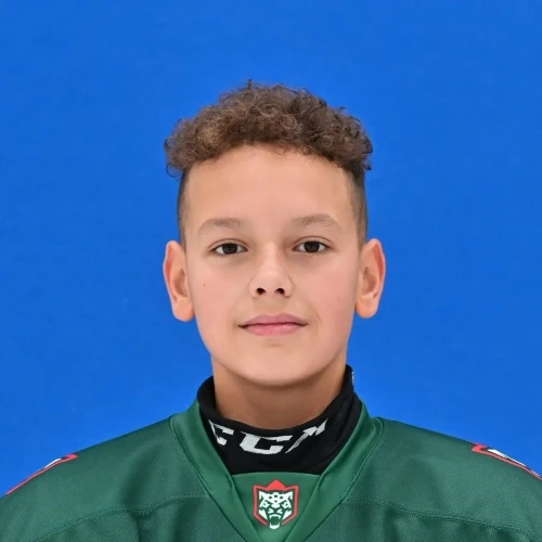 Anisimov Arsenii Evgenevich