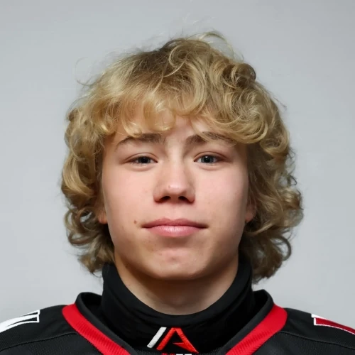 Sharapov Arsenii Ruslanovich
