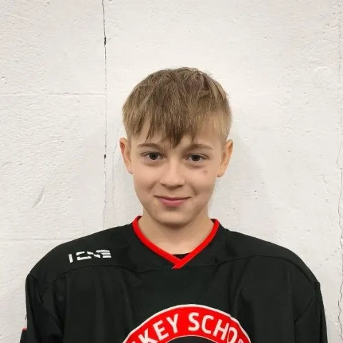 Ovchinikov Daniil Andreevich