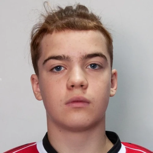 Logutov Dmitrii Sergeevich