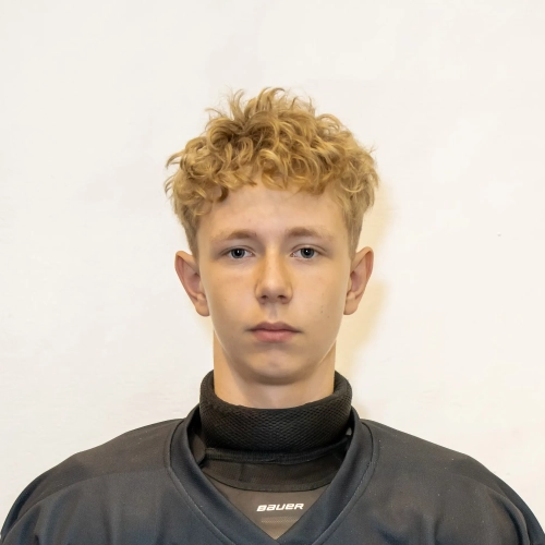 Sheyanov Aleksandr Evgenevich