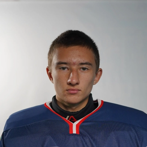 Baradavkin Nikita Dmitrievich