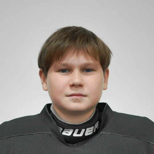 Novikov Dmitrii Danilovich