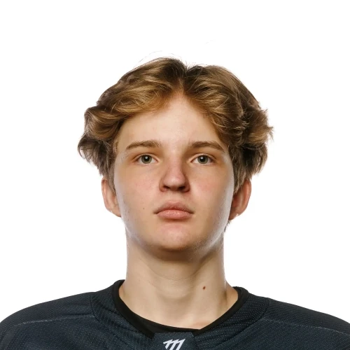 Starinchikov Evgenii Mihailovich