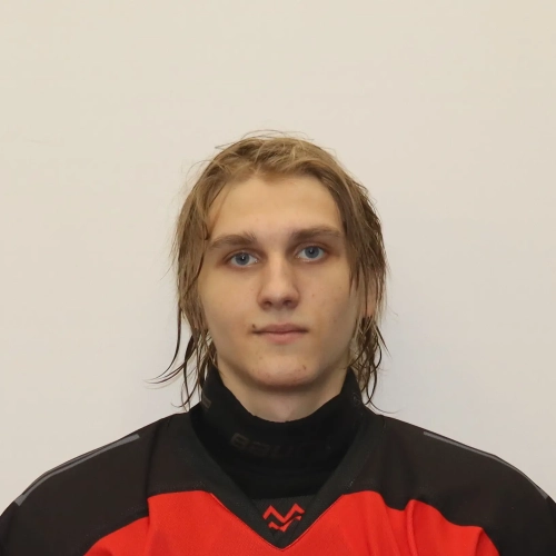 Romanov Maksim Alekseevich
