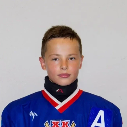 Vorobev Yaroslav Evgenevich