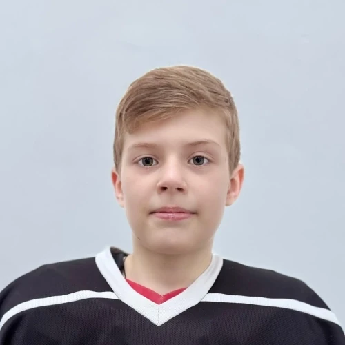 Vershinin Konstantin Vladislavovich