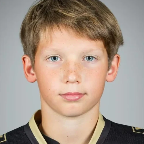 Chelushkin Mark Alekseevich