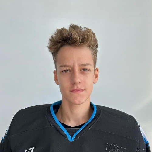Shelest Dmitrii Andreevich