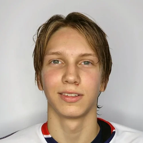 Luhanin Savelii Evgenevich