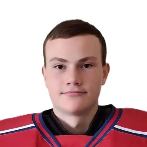 Mursalimov Timofei Sergeevich