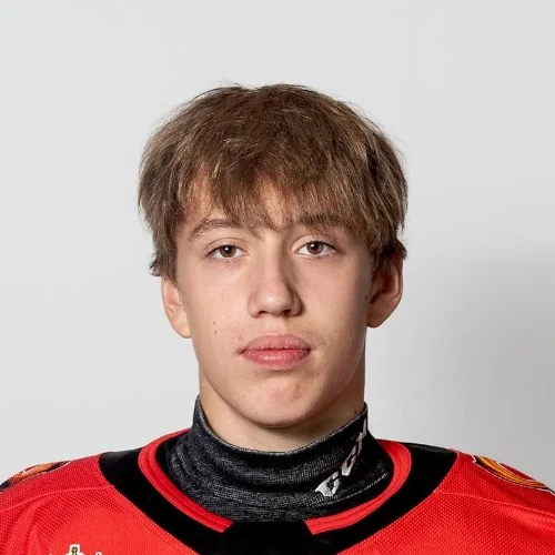 Nikolenko Mihail Valerevich