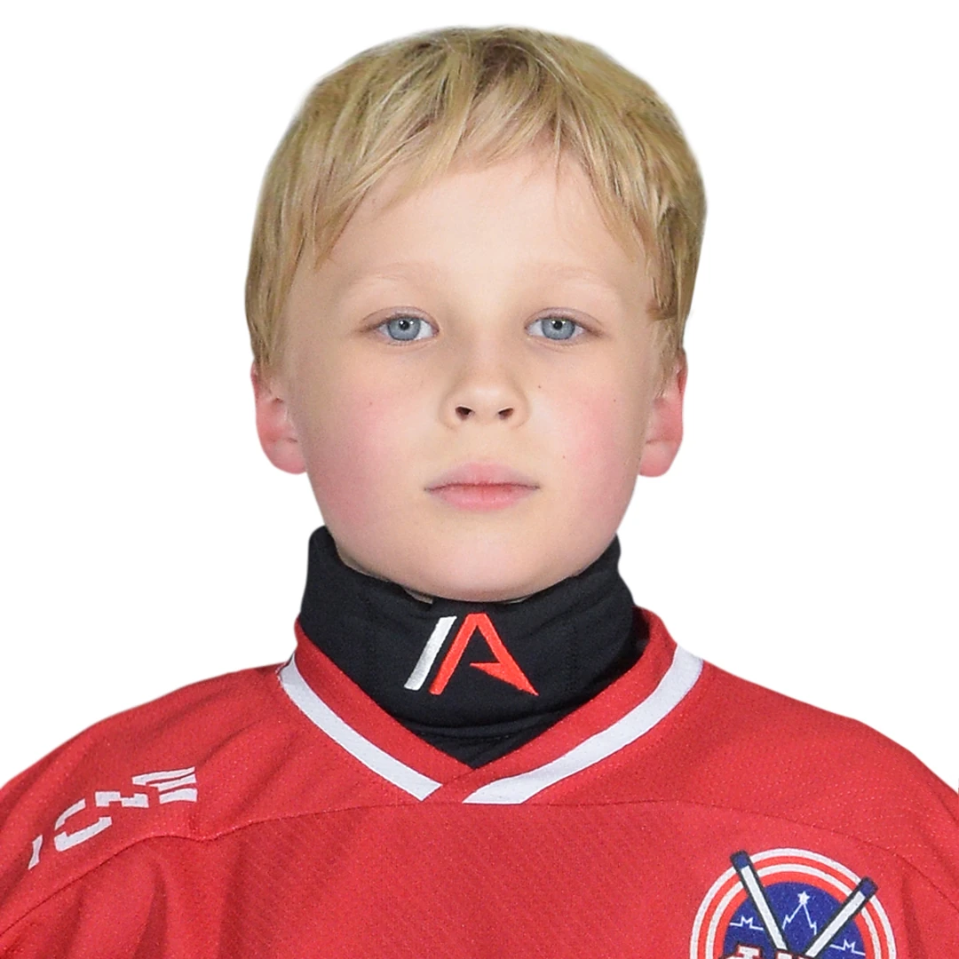 Gorohov Dmitrii Alekseevich