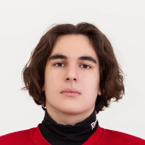 Prokofev Timofei Konstantinovich