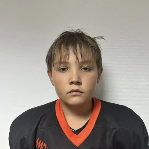 Kritskii Dmitrii Vladimirovich