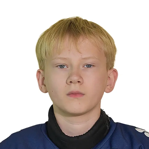 Perminov Ivan Mihailovich