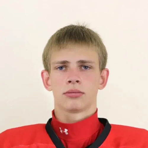 Dmitriev Denis Alekseevich
