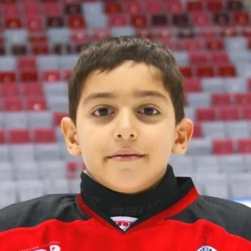 Ashalyan Mikael Zhanovich