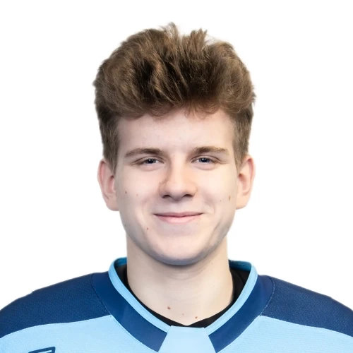 Pyatnitsa Nikolai Aleksandrovich