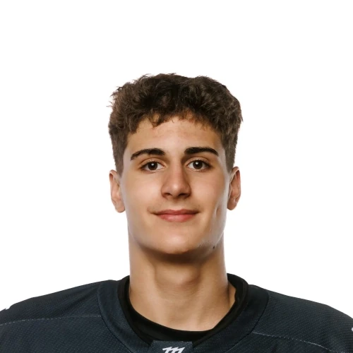 Drai Roman Aleksandrovich