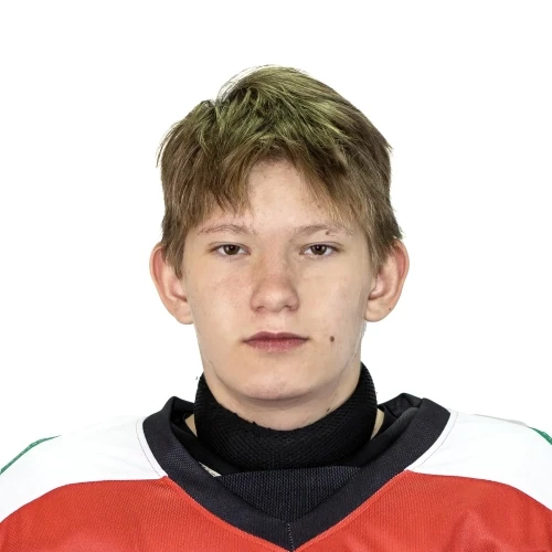 Valiev Vadim Rishatovich