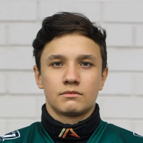 Mubarakshin Vildan Ilnarovich