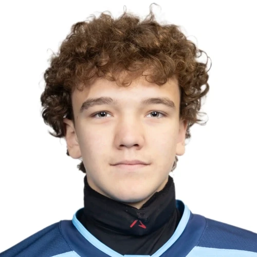 Vinogradov Kirill Nikolaevich