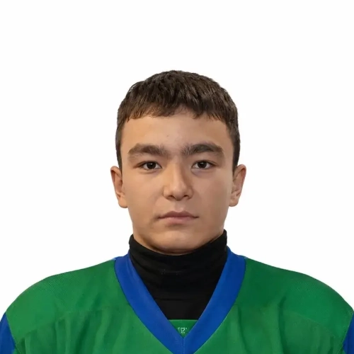Бадамшин Тимур Ильгизович