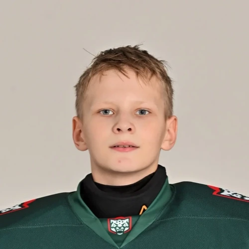 Obydenov Daniil Maksimovich