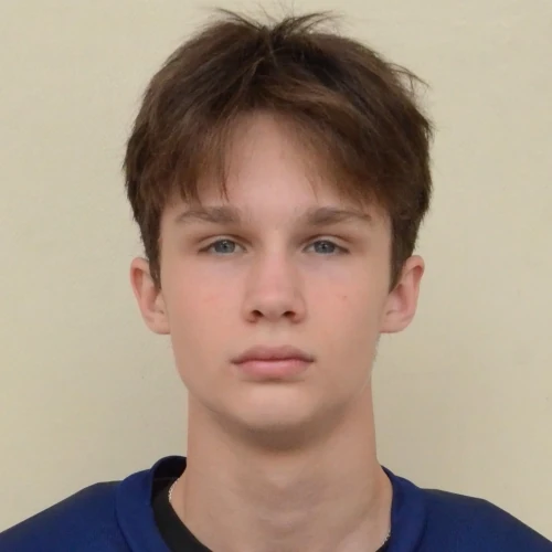 Vinogradov Mihail