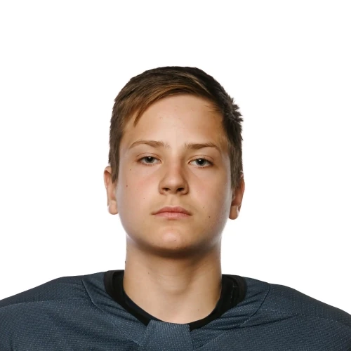 Karetin Artem Vitalevich