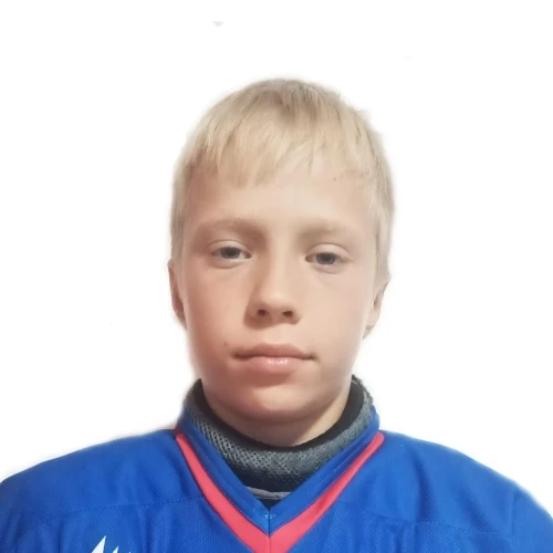 Novikov Arsenii Olegovich