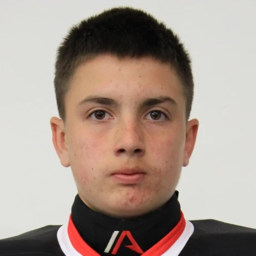 Papyshev Vladimir Sergeevich