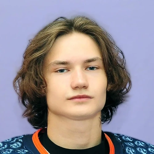 Gorbunov Nikita Viktorovich