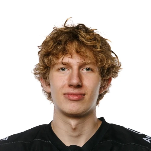 Elistratov Yaroslav Denisovich