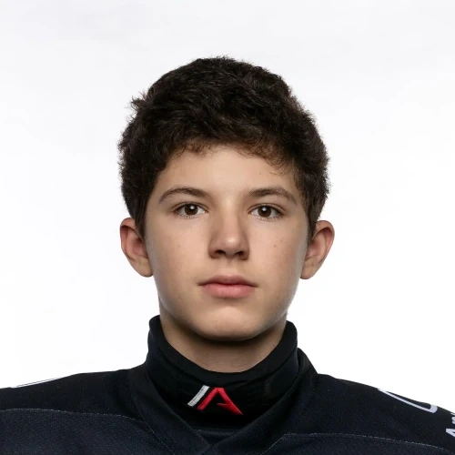 Verbitskii Aleksandr Lvovich