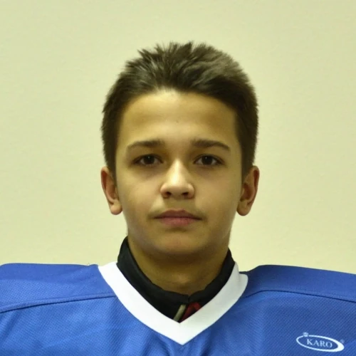Alekseev Artem Aleksandrovich