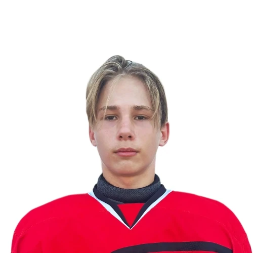 Sivtsov Matvei Danilovich