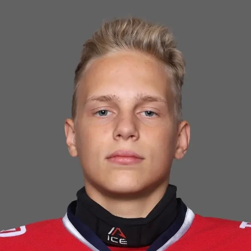 Гончаров Дмитрий