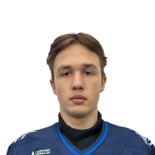 Vaiselev Diniyar Rafaelevich