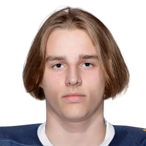 Vorobev Andrei Valentinovich