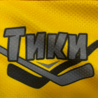 Тики