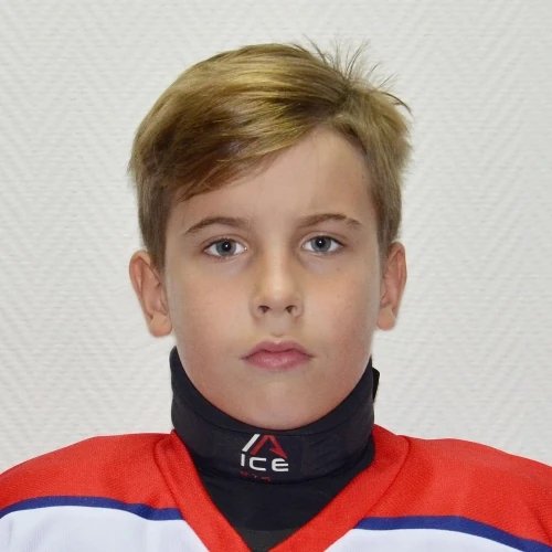 Nikulin Mark Vladimirovich