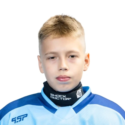 Shipitsin Mihail Dmitrievich