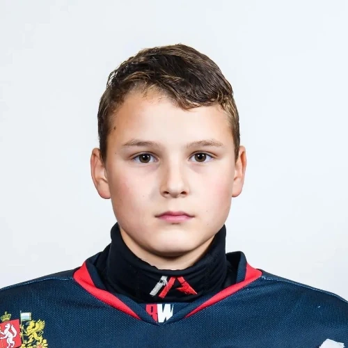 Zyryanov Yaroslav Sergeevich