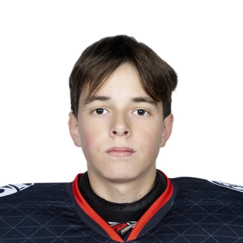 Eremenko Matvei Artemovich