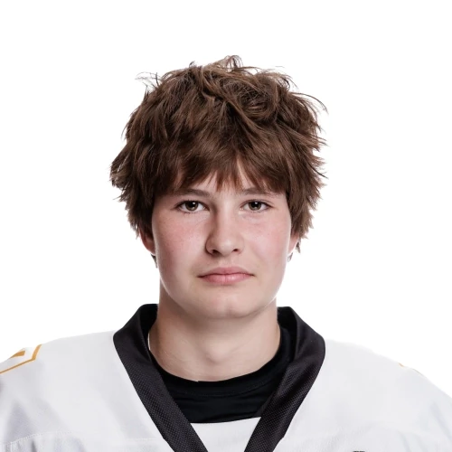Paholkov Demid Evgenevich