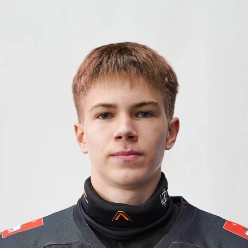 Glodnyh Anatolii Alekseevich