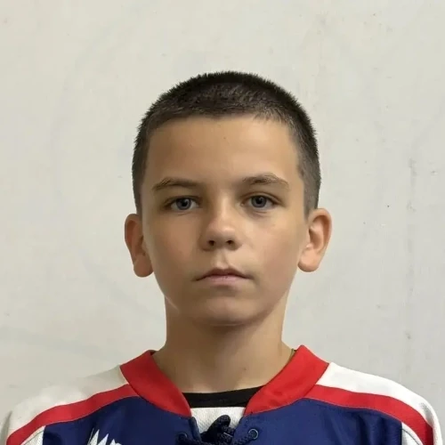 Shepovalov Artem Dmitrievich