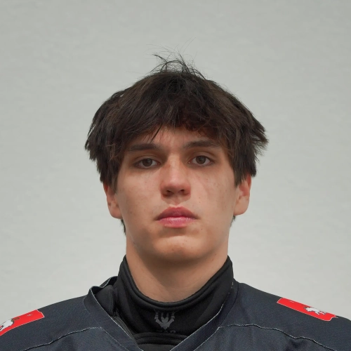 Zarafutdinov Arsen Dinarisovich